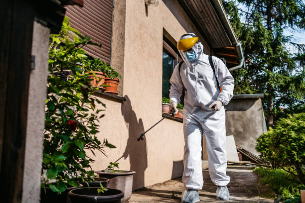 Best Rat Extermination Near Me  in Kensington, CT
