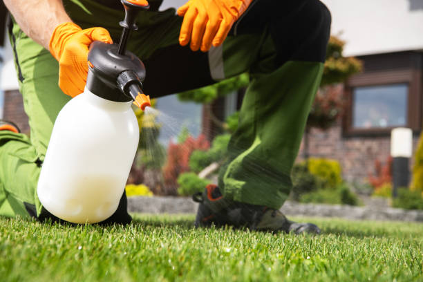 Best Best Pest Control Companies  in Kensington, CT