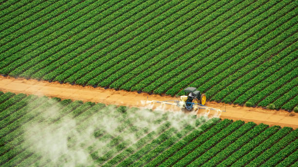 Best Mosquito Control Services  in Kensington, CT