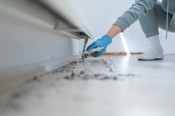 Best Pest Removal Services  in Kensington, CT