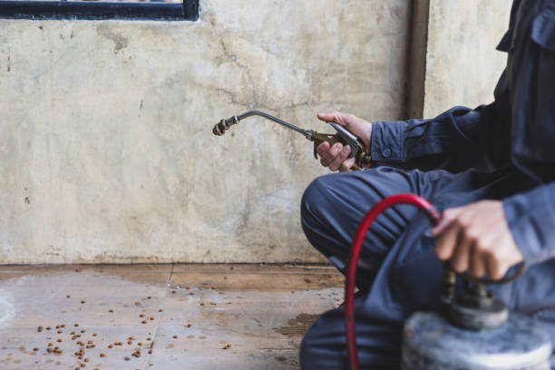 Best Best Pest Control Companies  in Kensington, CT